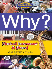Image of why ? musical instrrument & sound